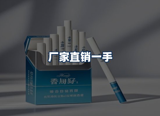 专业团队办公环境